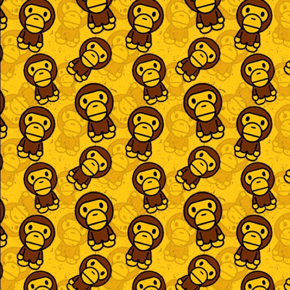 Meet your Posher, Quin